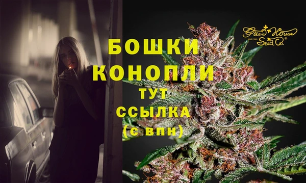 СК Абинск