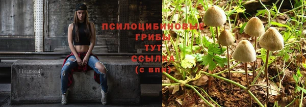 2c-b Абаза