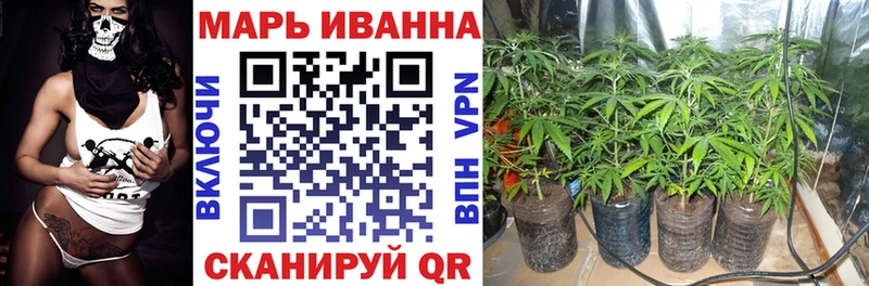наркота  Димитровград  Канабис план 